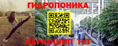 мяу мяу кристалл Гай
