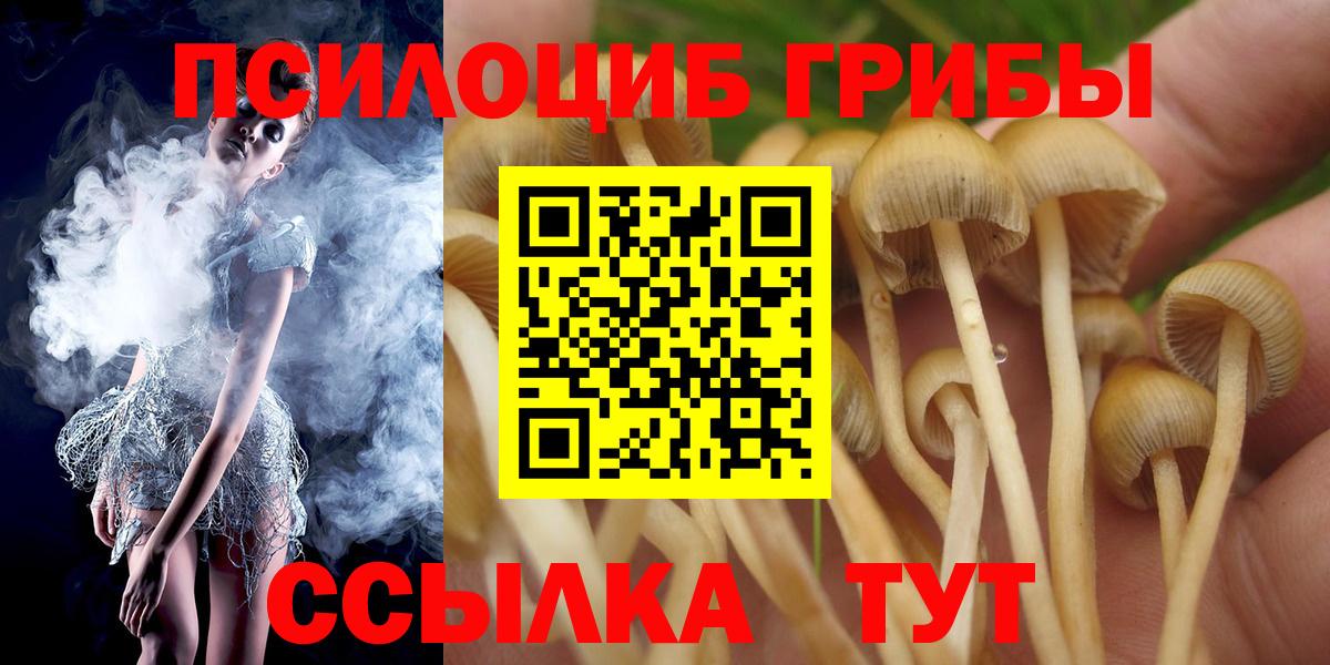 Галлюциногенные грибы Magic Shrooms Дубна