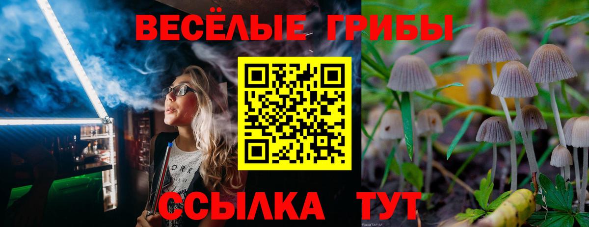 Дубна  Псилоцибиновые грибы мухоморы  Галлюциногенные грибы Cubensis  Вход с VPN 
